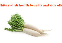 White radish health benefits and side effects