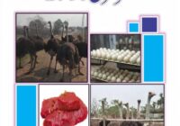 Shutar murgh Ostrich farming in Pakistan Urdu pdf free book download